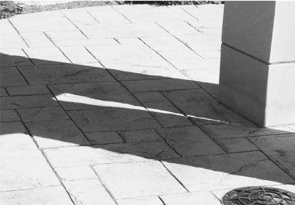 Mystery Photo <span class='credit'>Photo By: Kristyn Sonnenberg | Photo Editor</span>